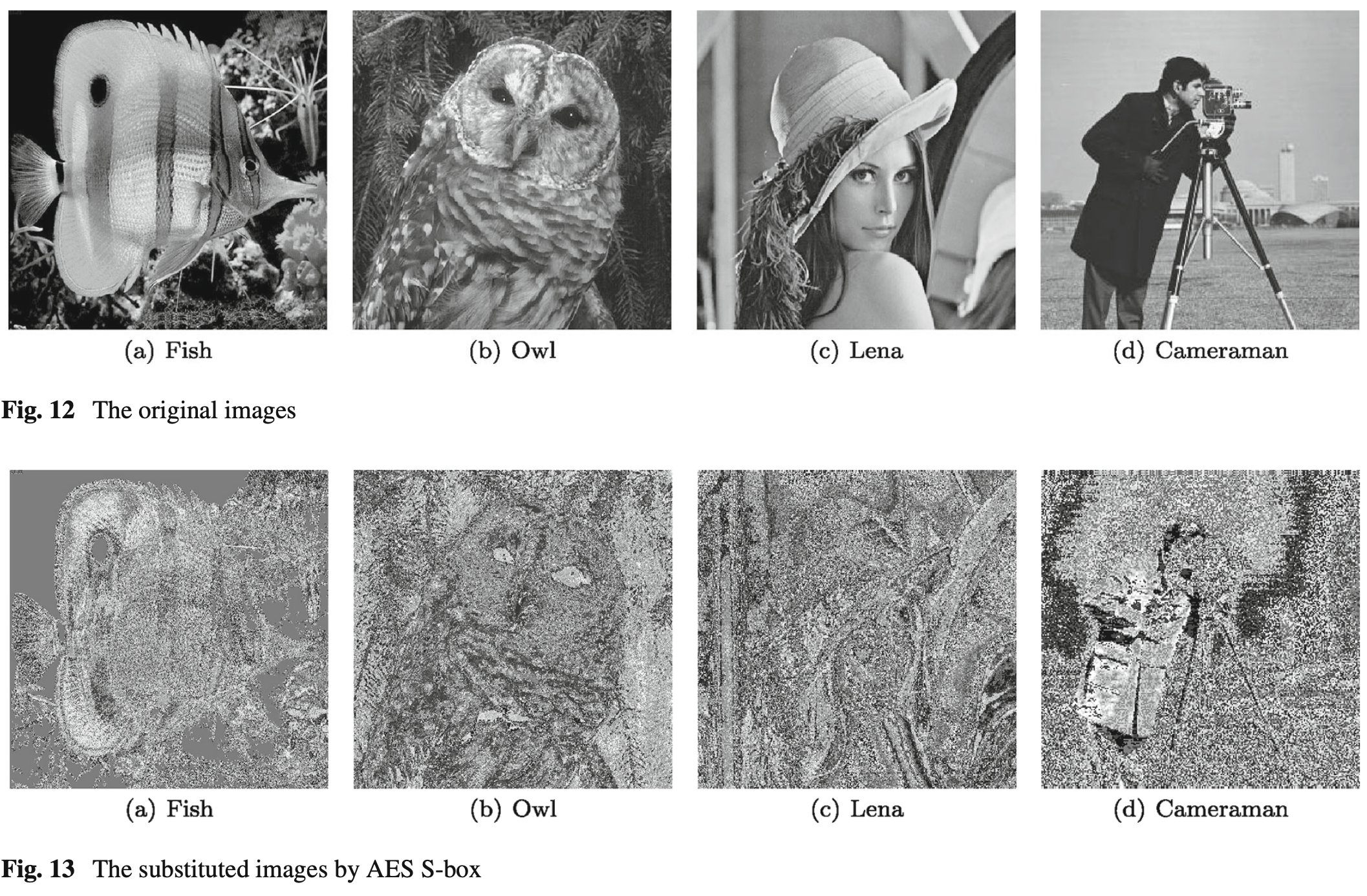 Constructing Dynamic S-boxes Based on Chaos and Irreducible Polynomials for Image Encryption