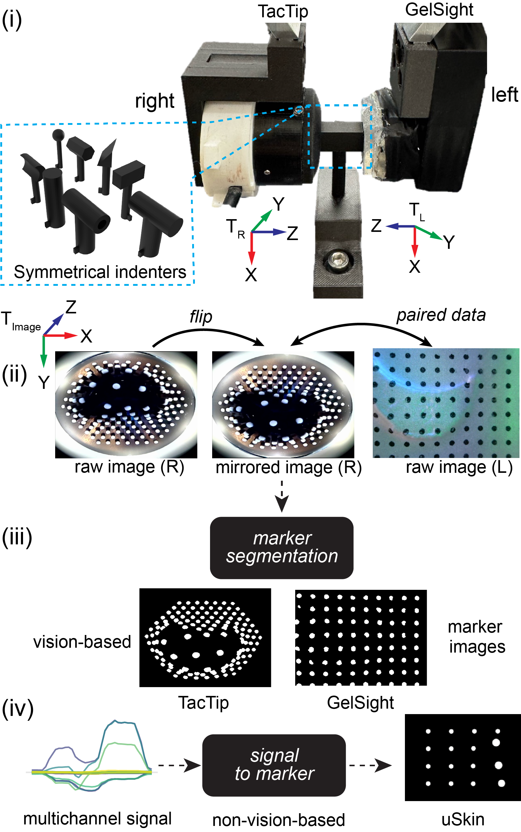 TouchBridge: Multi-Bridge Alignment and Reversible Canonical Tactile Space for Cross-Sensor Robotic Manipulation